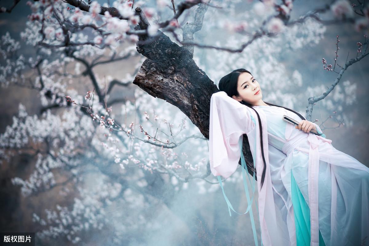 梨花美的诗句 描写梨花的唯美诗词（描写梨花古诗十首）