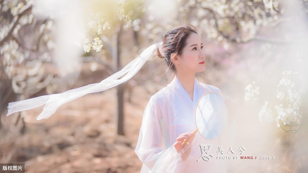 梨花美的诗句 描写梨花的唯美诗词（描写梨花古诗十首）