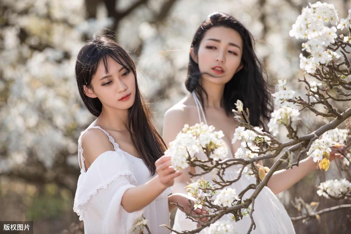 梨花美的诗句 描写梨花的唯美诗词（描写梨花古诗十首）