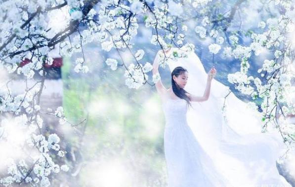 梨花美的诗句 描写梨花的唯美诗词（描写梨花古诗十首）