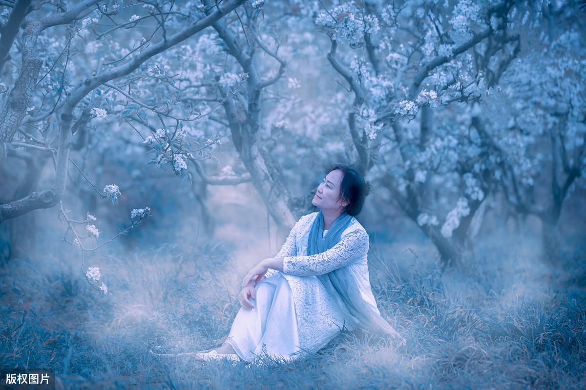 梨花美的诗句 描写梨花的唯美诗词（描写梨花古诗十首）