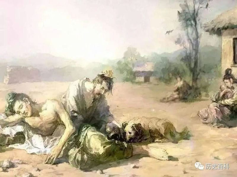 汉代张仲景先生写的什么书（中国古代东汉医圣张仲景简历）