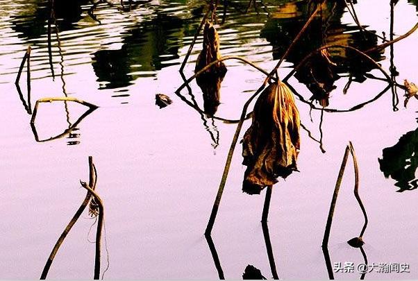 诗人李商隐的坎坷人生（李商隐是哪个朝代的人）