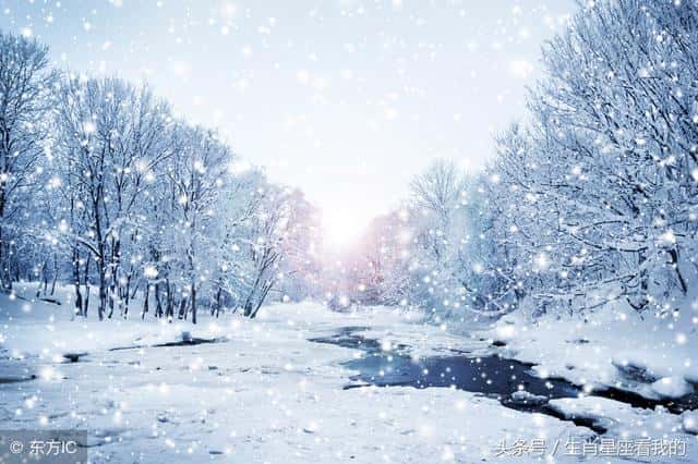 最喜欢仗势欺人的生肖(仗势欺人指什么生肖)