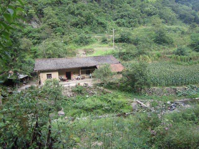 如何诱蜂进蜂箱(怎么诱蜂最容易来蜂)