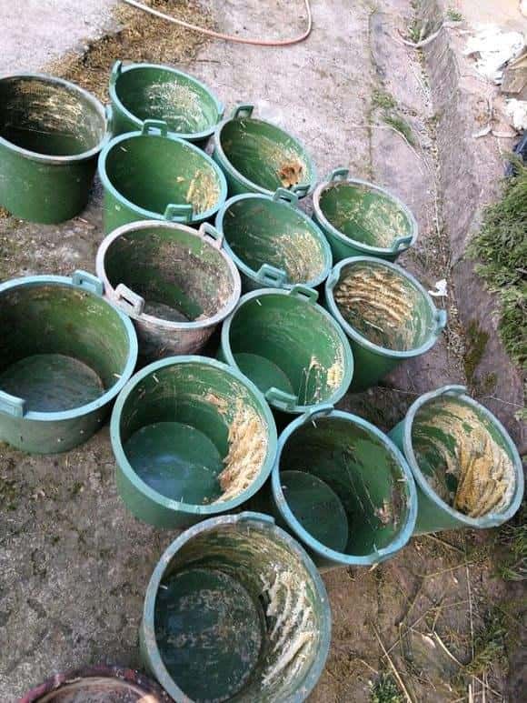 如何诱蜂进蜂箱(怎么诱蜂最容易来蜂)