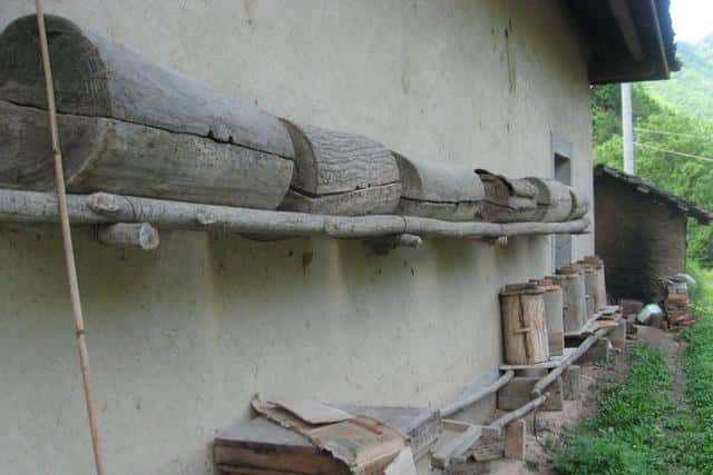 如何诱蜂进蜂箱(怎么诱蜂最容易来蜂)