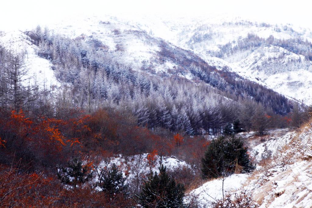 海原县有几个乡镇(海原县属于哪个市)