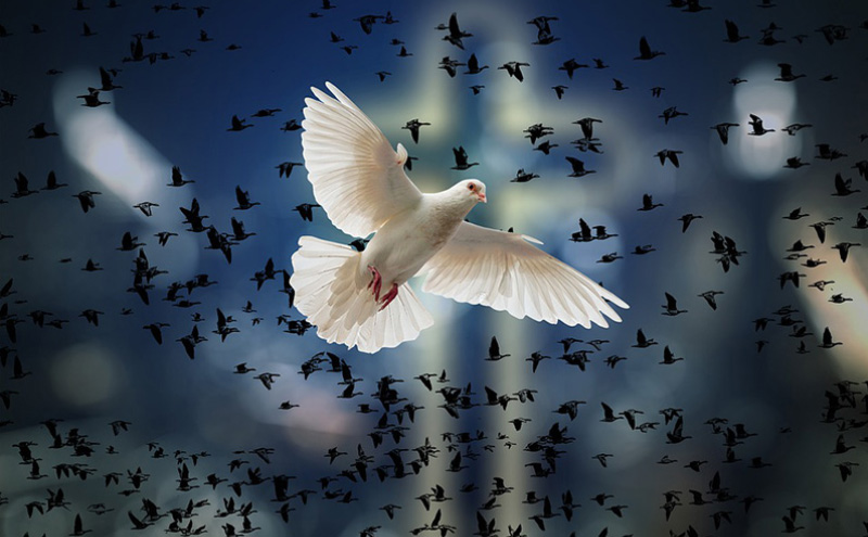 国画是生宣纸还是熟宣纸（生宣纸和熟宣纸有什么区别）