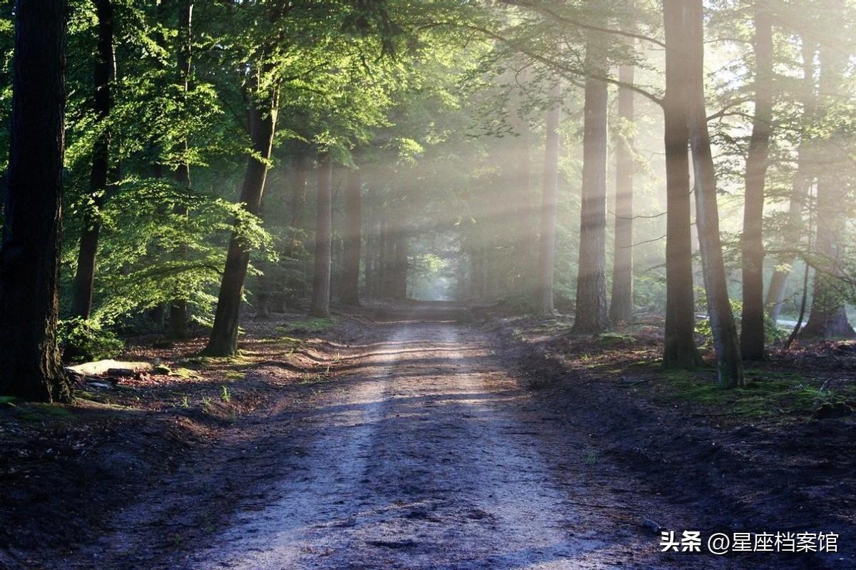 最能治得住巨蟹座的3大星座（唯一能治巨蟹的星座）