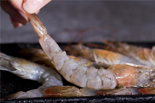 厄瓜多尔白虾 南美白虾(厄瓜多尔白虾是海虾吗)