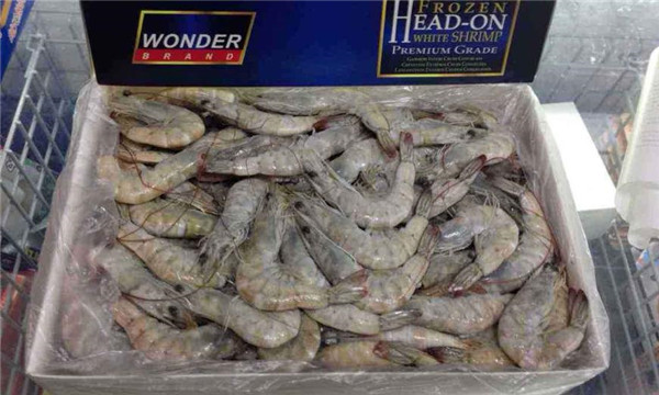 厄瓜多尔白虾 南美白虾(厄瓜多尔白虾是海虾吗)