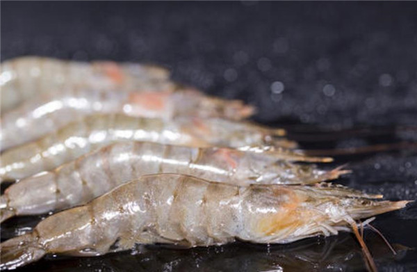 厄瓜多尔白虾 南美白虾(厄瓜多尔白虾是海虾吗)