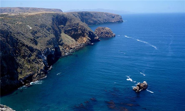 厄瓜多尔白虾 南美白虾(厄瓜多尔白虾是海虾吗)