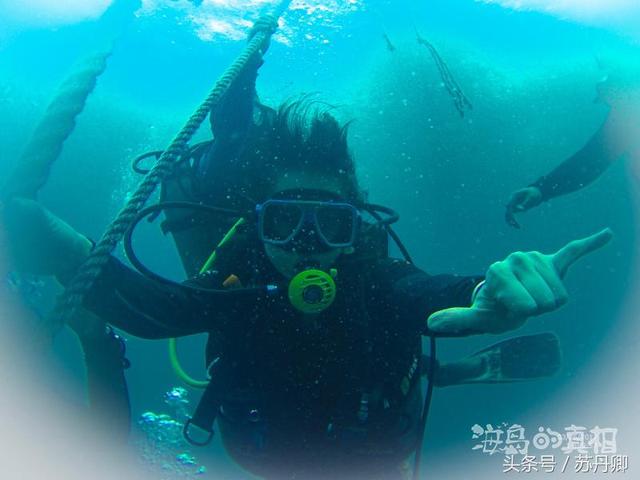 一张图看懂加勒比海盗（加勒比海盗中的幽灵船与美人鱼惊现菲律宾深海）(7)