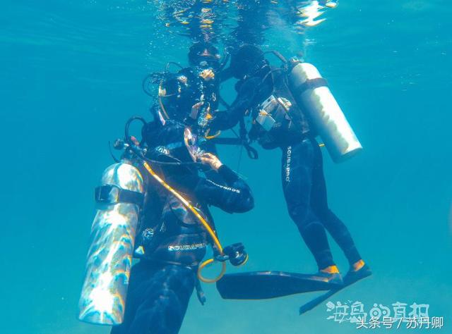 一张图看懂加勒比海盗（加勒比海盗中的幽灵船与美人鱼惊现菲律宾深海）(20)