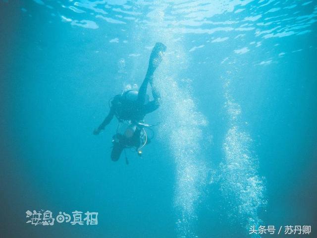 一张图看懂加勒比海盗（加勒比海盗中的幽灵船与美人鱼惊现菲律宾深海）(14)