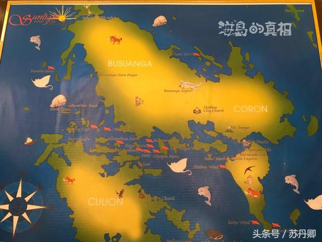 一张图看懂加勒比海盗（加勒比海盗中的幽灵船与美人鱼惊现菲律宾深海）(2)