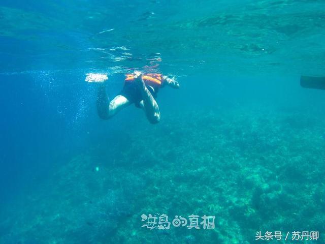 一张图看懂加勒比海盗（加勒比海盗中的幽灵船与美人鱼惊现菲律宾深海）(15)