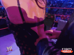 wwe巨星现在的样子(盘点WWE超级巨星绰号的由来)(15)