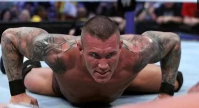 wwe巨星现在的样子(盘点WWE超级巨星绰号的由来)(12)