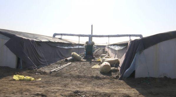 养猪场大棚建造成本(养殖户投资300万元建好养猪大棚)(9)