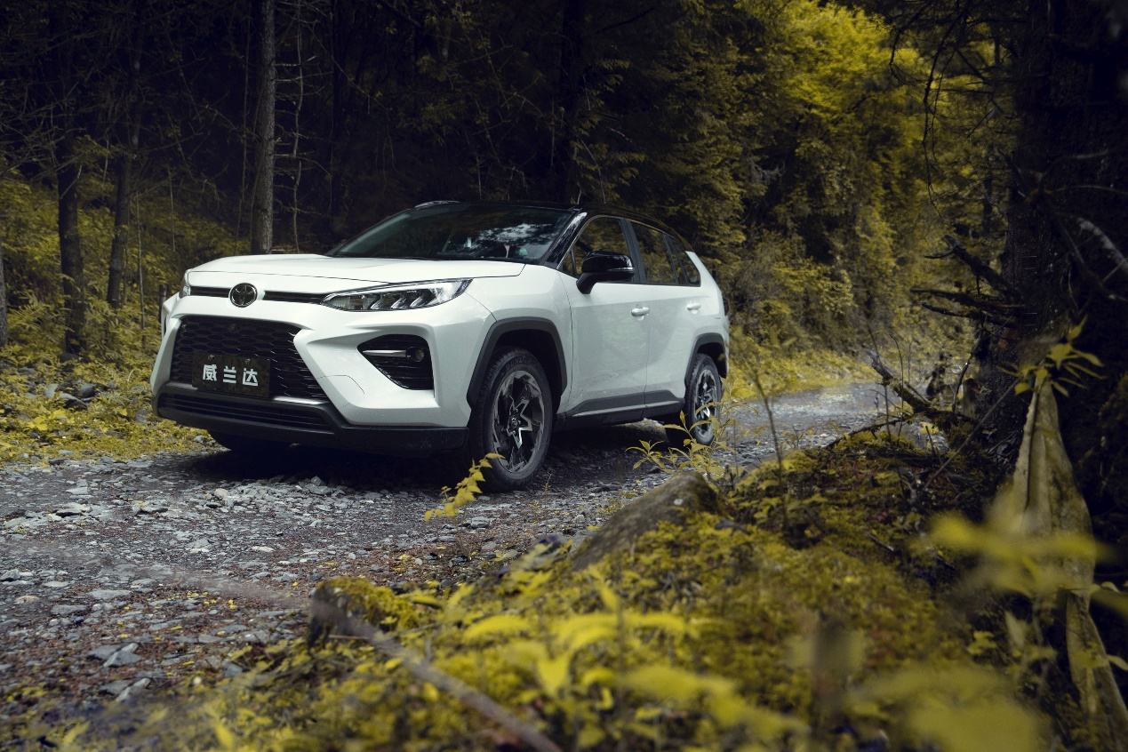 省油性价比高的家用车排行（家庭经济实惠车型前十名）