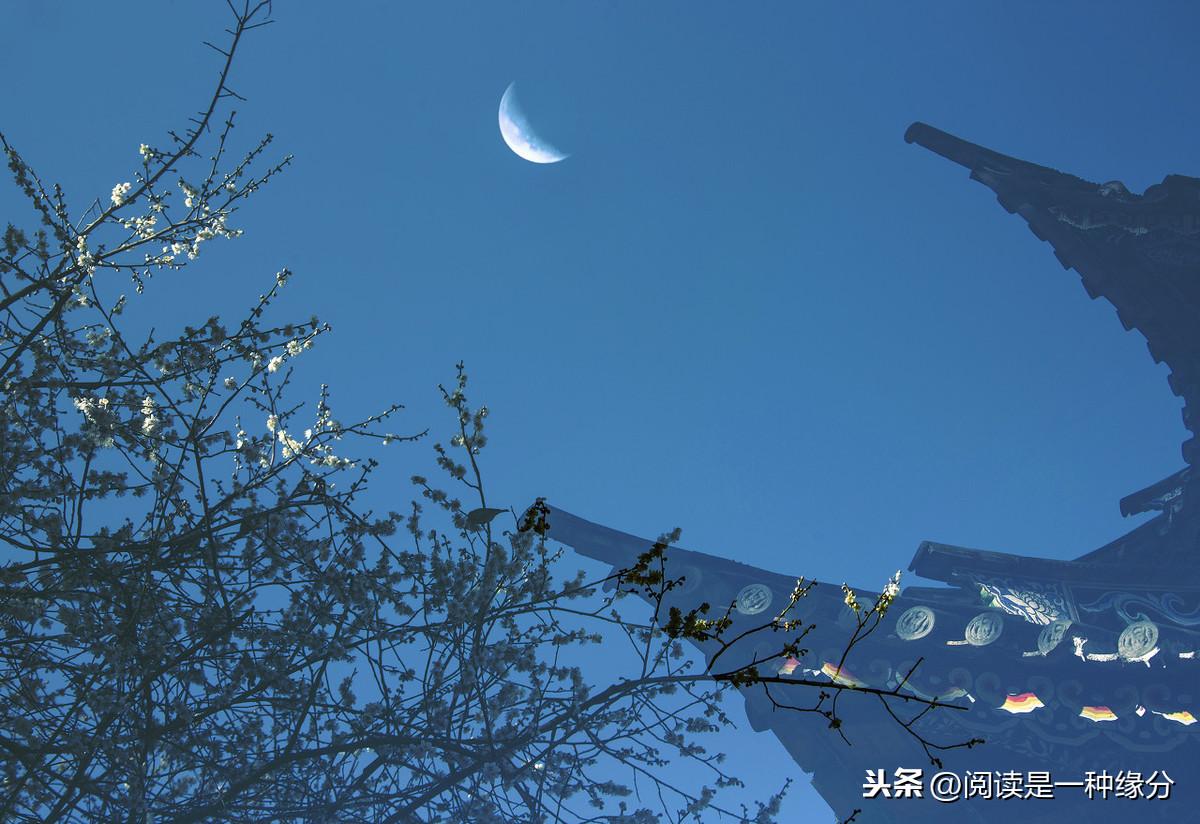 渡荆门送别 表达了诗人怎样的情感（渡荆门送别赏析）