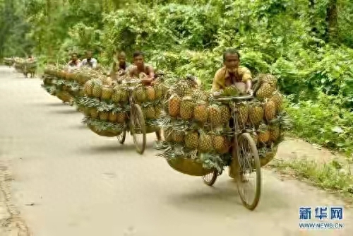 孟加拉国是哪里的国家(孟加拉国是哪个洲的国家)