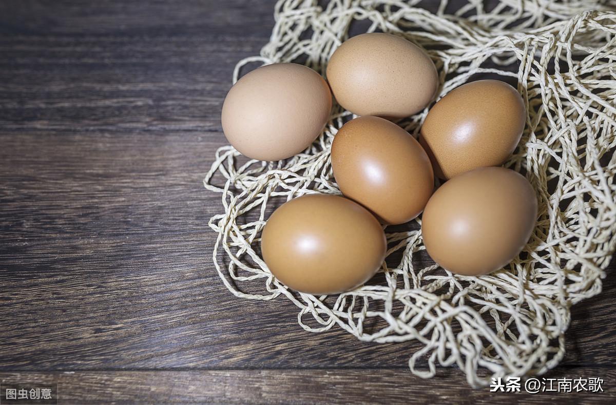 鸡蛋孵化温度和湿度(孵化鸡蛋温度多少合适)