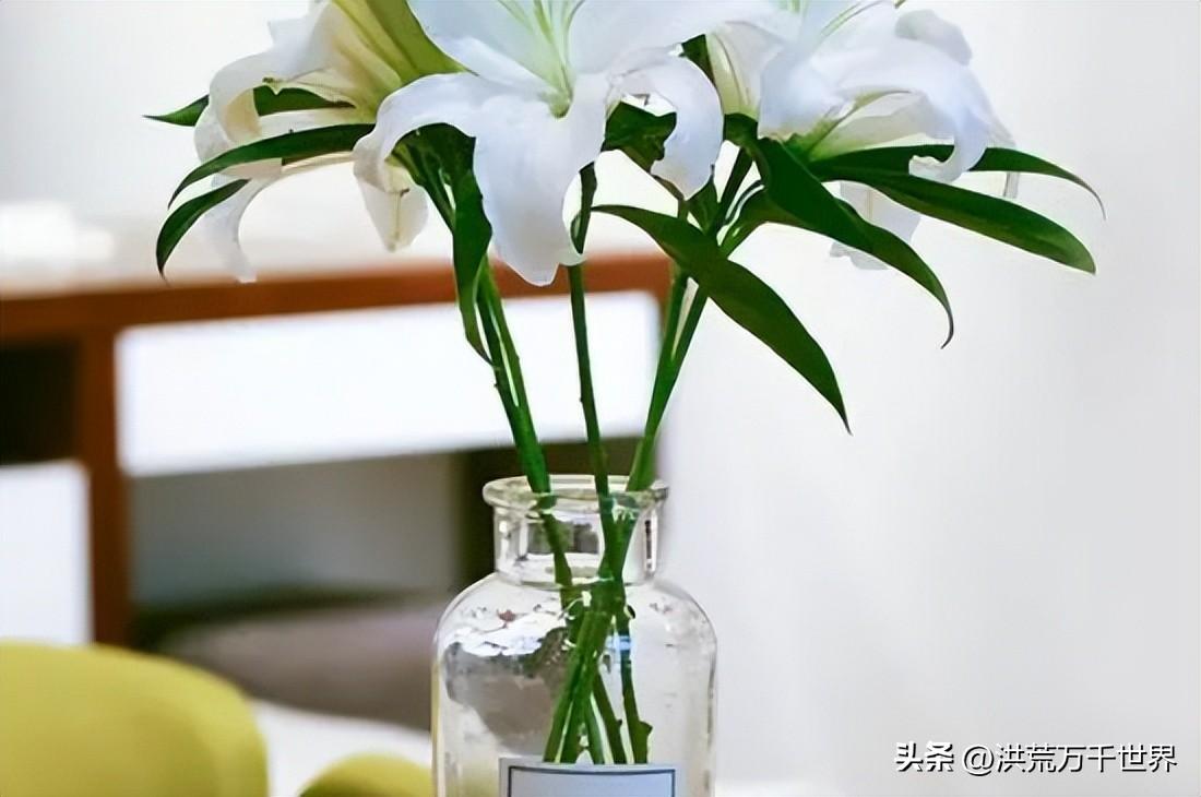 水里加什么可以让鲜花更持久(鲜花保鲜水里加什么)