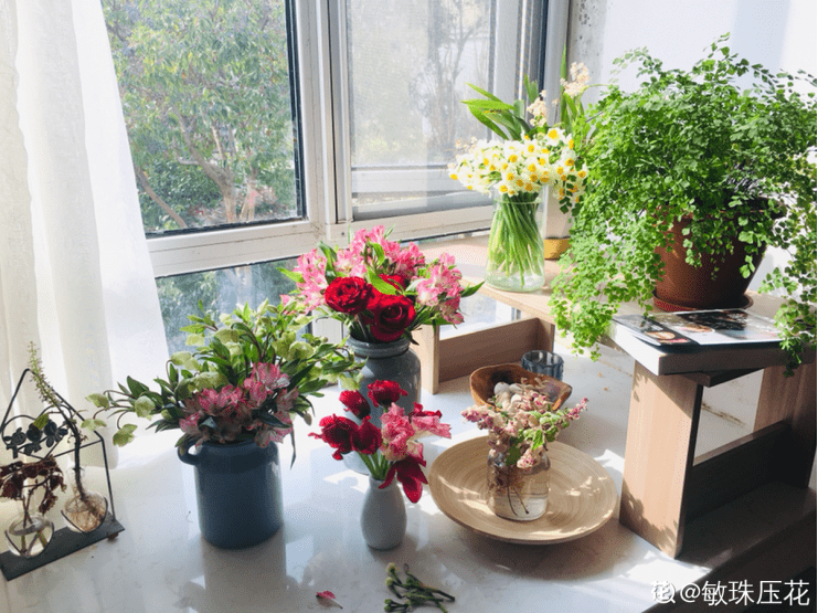 水里加什么可以让鲜花更持久(鲜花保鲜水里加什么)