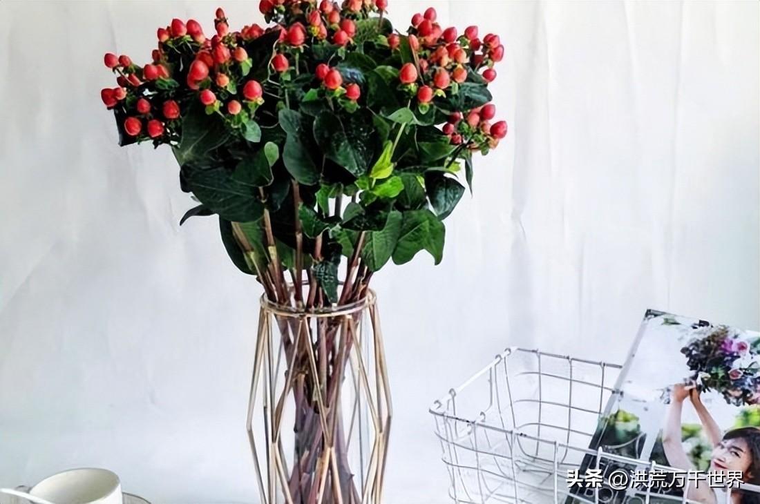 水里加什么可以让鲜花更持久(鲜花保鲜水里加什么)