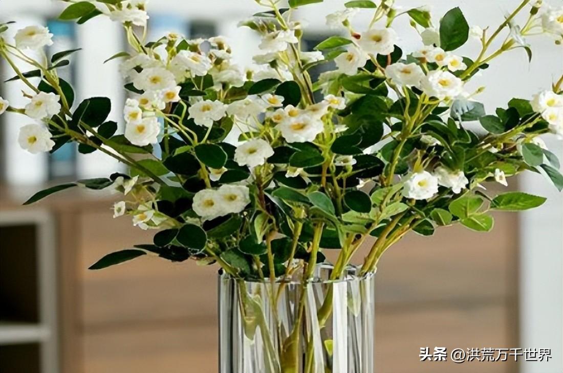 水里加什么可以让鲜花更持久(鲜花保鲜水里加什么)