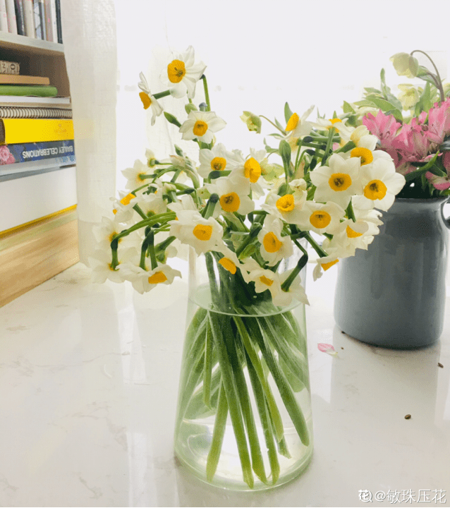 水里加什么可以让鲜花更持久(鲜花保鲜水里加什么)