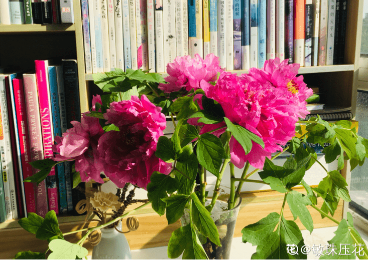 水里加什么可以让鲜花更持久(鲜花保鲜水里加什么)