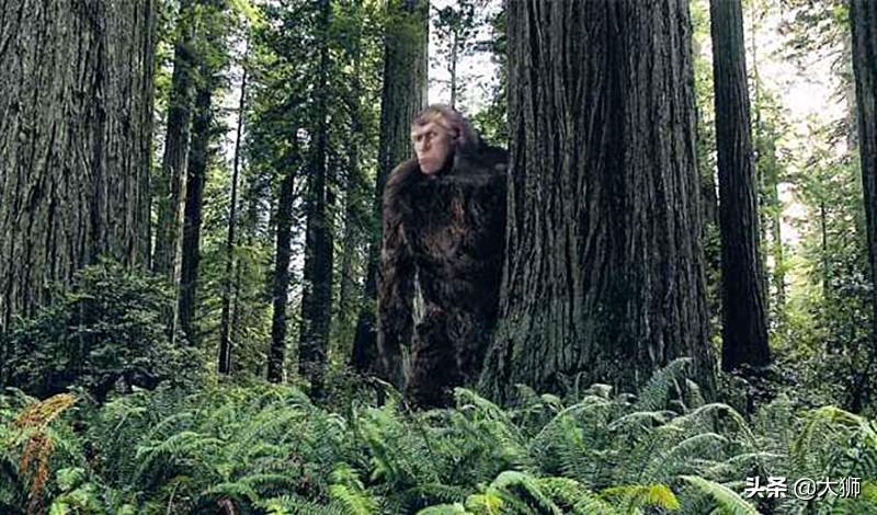 大千世界有哪些怪事_历史上的怪物有哪些