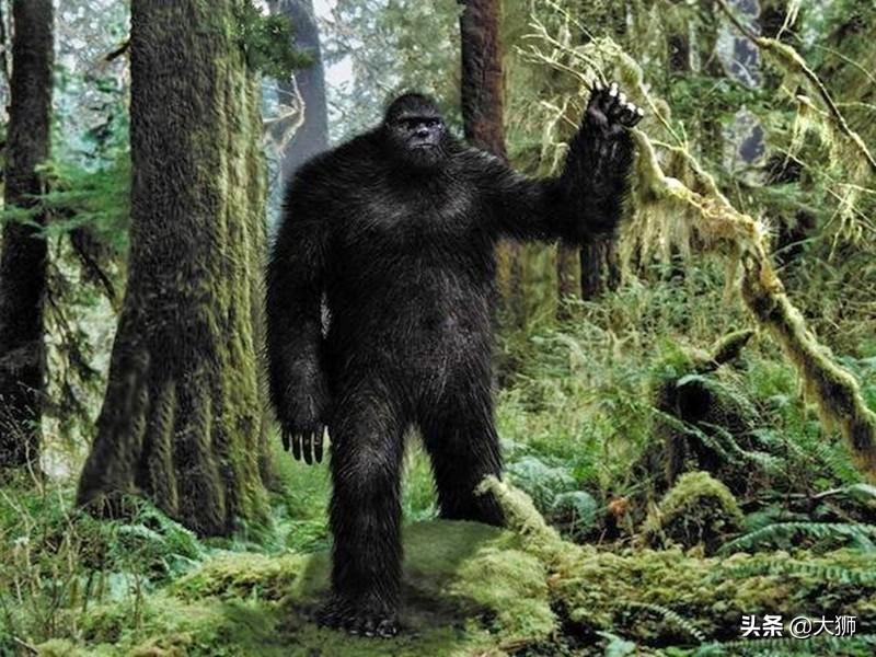 大千世界有哪些怪事_历史上的怪物有哪些