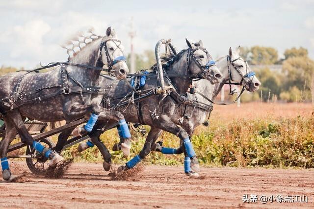 拉动经济的“三驾马车”（中国经济三驾马车是指什么）