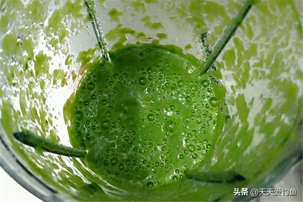 钓鲢鳙自制饵料配方法（钓大头鱼的最佳饵料）