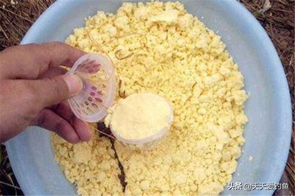 钓鲢鳙自制饵料配方法（钓大头鱼的最佳饵料）