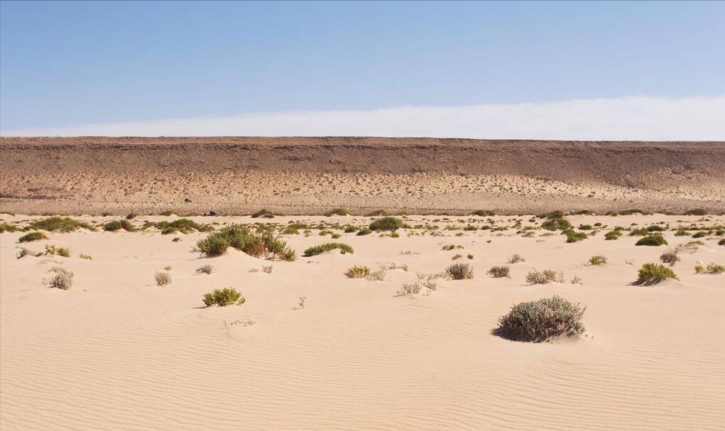 撒哈拉沙漠的面积约是9320000(撒哈拉沙漠面积多大)