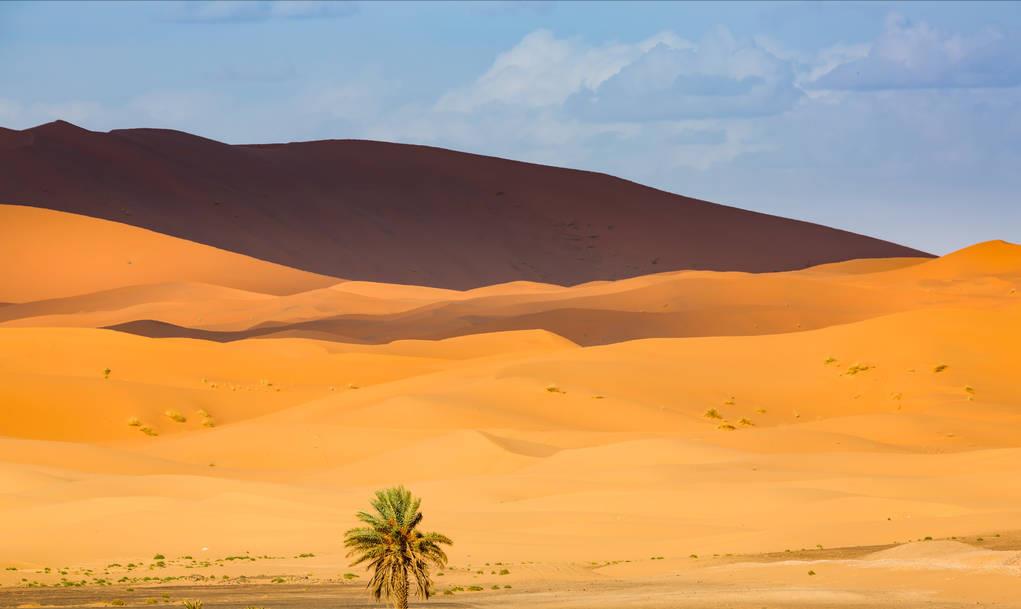 撒哈拉沙漠的面积约是9320000(撒哈拉沙漠面积多大)