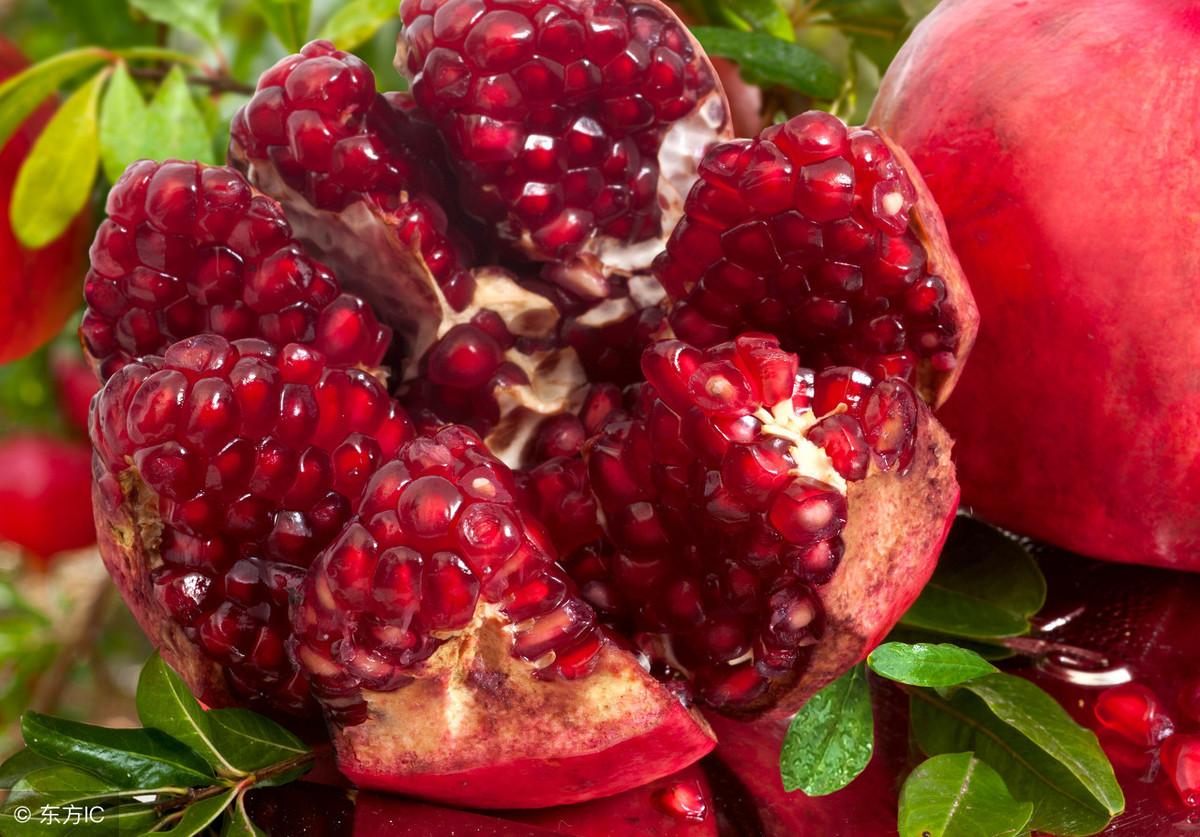 石榴什么时候结果(石榴树一般几年可以结果)