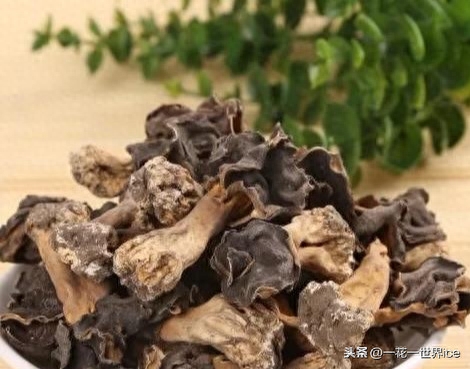 巴楚蘑菇多少钱一公斤(巴楚蘑菇价格真实情况)