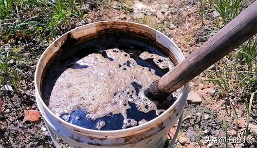 人尿怎么发酵做肥料(人尿发酵简单方法)