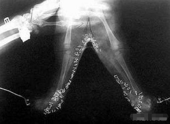 世界上存不存在美人鱼这种生物呢（美人鱼真的存在吗）