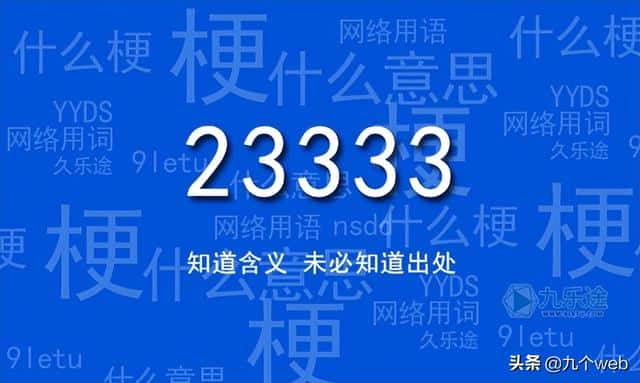 233333是什么意思网络语言（233333是什么意思啊）