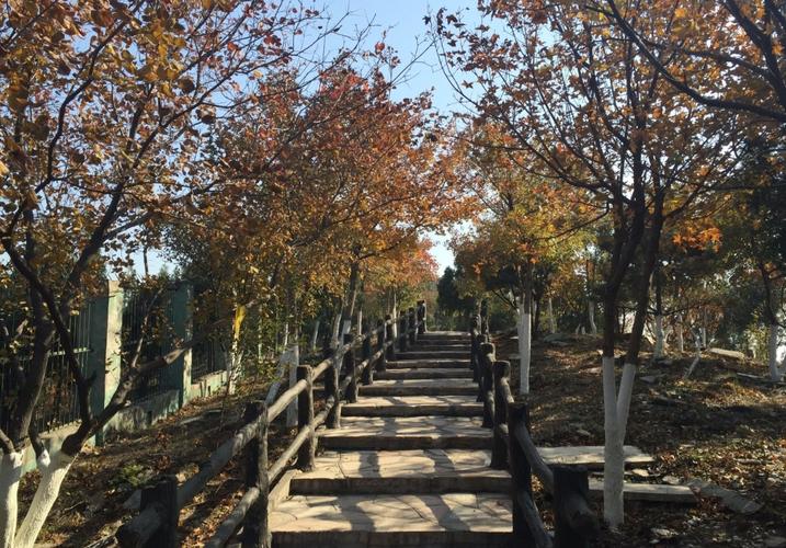 5、东屏山国家森林公园