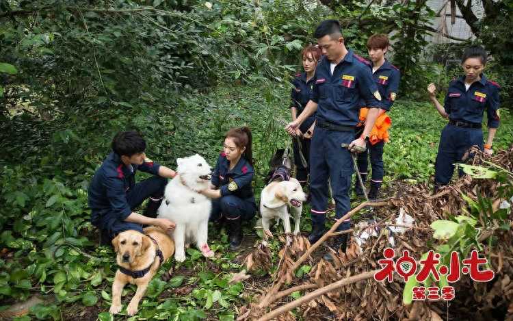 神犬小七演员表(《神犬小七3》今晚大收官)